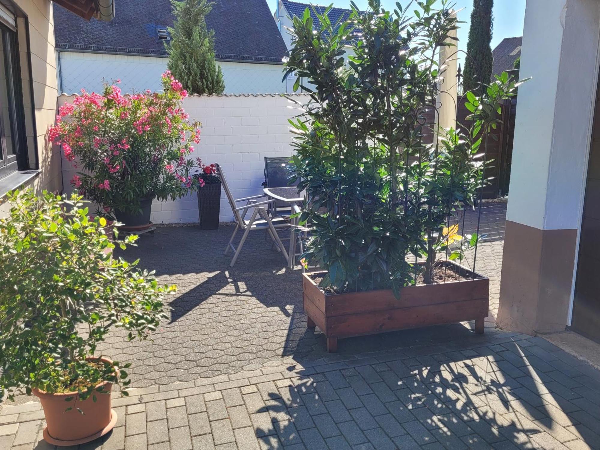 Eifelferienhaus Thome Lissendorf Zewnętrze zdjęcie